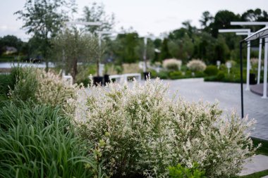 Bakımlı yollar, canlı bitkiler ve manzaralı sakin bir bahçe..