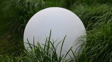 Serin, beyaz bir küre bahçe ışığı açık havada canlı yeşil çimenlerin içine saklıdır..