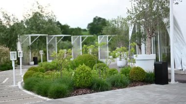 Huzurlu bir açık hava bahçesinde yemyeşil, modern asfalt ve zarif bir manzara tasarımı sergileniyor..