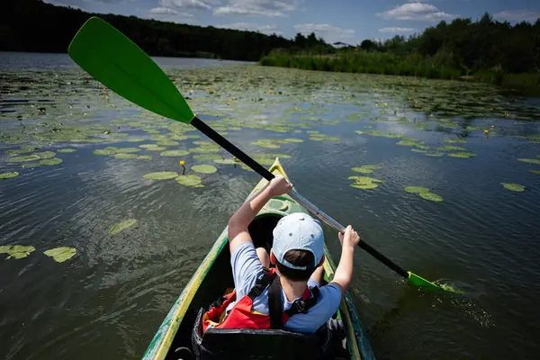 Genç kanocu açık bir günde su zambaklarıyla manzaralı bir gölde kürek çekiyor..