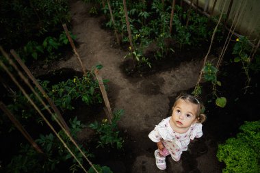 Genç bir çocuk yeşil bir bahçede dikilirken merakla yukarı bakar.