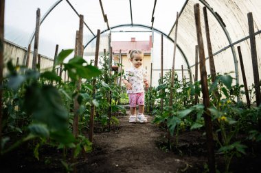 Etrafı yemyeşil bitkilerle çevrili bir seranın içinde yürüyen küçük bir çocuk.