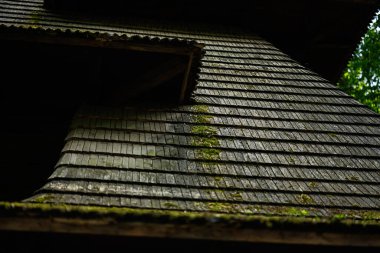 Yıpranmış ahşap çatı, yakın çekim, doğal yosun büyümesi ve dokusu sergileniyor.