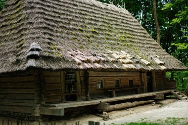 Ormanın ortasında geleneksel sazdan çatısı olan eski, sevimli bir ahşap ev.