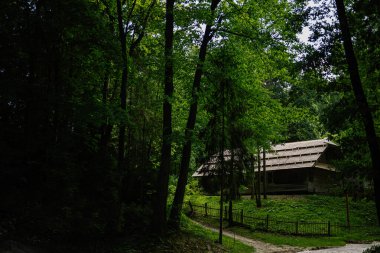 Kırsal ahşap kulübe, huzurlu bir ormanlık alanda yemyeşil ağaçların arasında yuva yapmış..
