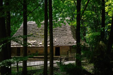 Yeşillik bir ormanda sazdan bir çatısı olan kırsal bir ahşap ev..