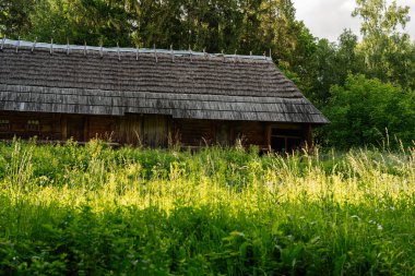 Kırsal ahır, ormanlarla çevrili canlı bir çayırın ortasında.