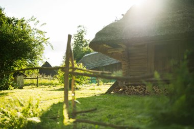 Güneşli geleneksel kulübe, huzurlu kırsal alanda canlı yeşilliklerle çevrili.