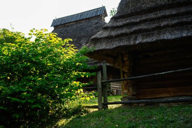 Canlı yeşillik ve güneş ışığıyla çevrili sazdan çatıları olan geleneksel kır evleri.