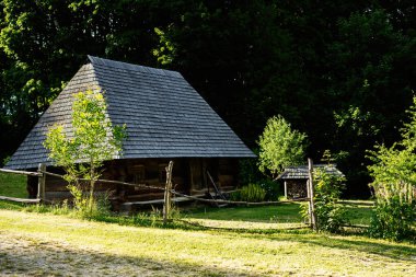 Bereketli ağaçların arasına yerleşmiş kırsal alan kabini huzurlu bir kırsal atmosfer yaratıyor.