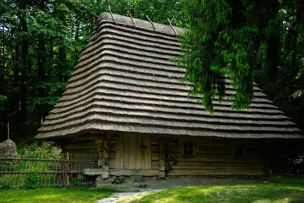 Orman yeşiliyle çevrili sazdan bir çatısı olan büyüleyici bir kır evi..