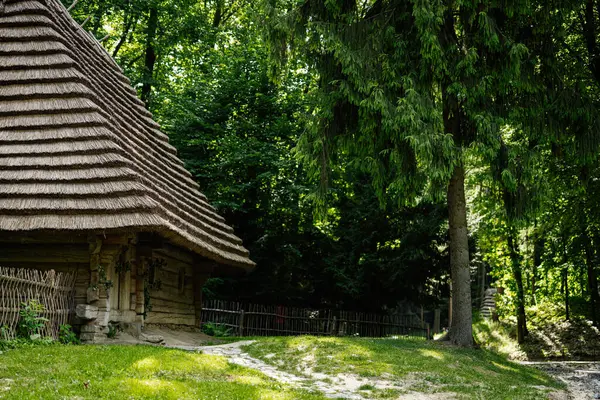 Bereketli yeşil ormanlara, ahşap çitlere ve huzurlu doğal çevreye yuva yapmış ahşap kulübe.