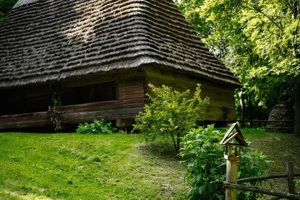 Güneşli bir günde ormandaki sazdan çatılı ahşap bir ev.
