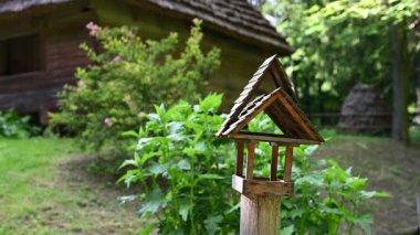 Güzel, doğal bir çevrede sazdan bir çatısı olan geleneksel bir ahşap ev..