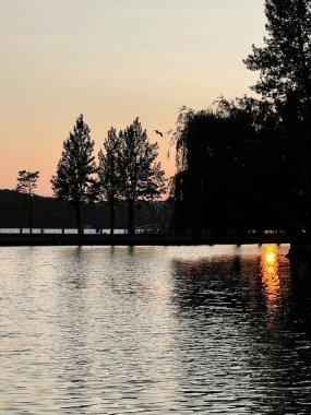Gölde gün batımı, huzurlu yansımalar, siluetli ağaçlar ve huzur dolu doğa.