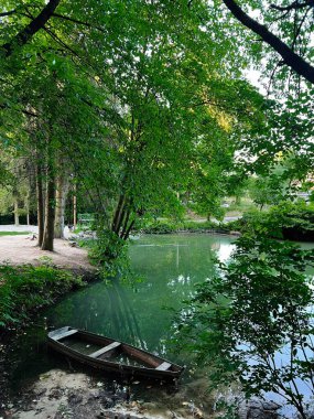 Yansıtıcı su ve çevreleyen yeşillikle sakin bir nehrin manzarası