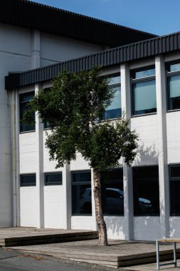 Reykjavik 'te ağaç, ahşap güverte ve simetrik pencerelere sahip modern bir bina.