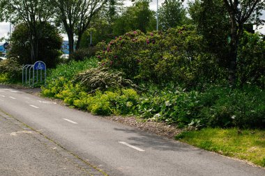 Yaz boyunca Reykjavik 'te yemyeşil bitkilerle çevrili yollar ve bisiklet parkları.