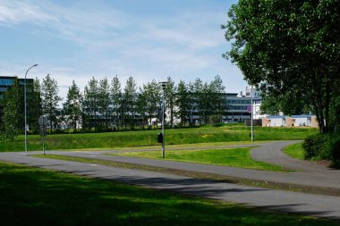 Reykjavik, İzlanda 'da yolları, yeşilliği ve binaları olan şehir parkı manzarası