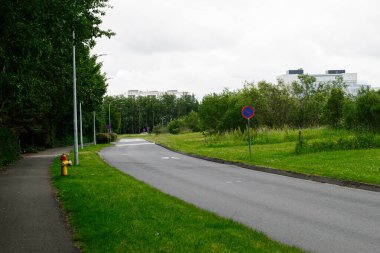 Reykjavik, İzlanda 'da doğa ve binalarla çevrili şehir manzarası