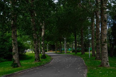 Reykjavik, İzlanda 'da doğa yürüyüşü için ideal ağaçlarla çevrili sakin bir park yolu..