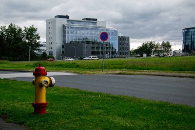 Reykjavik 'te bir yangın musluğu ve çağdaş mimariye sahip modern şehir manzarası.
