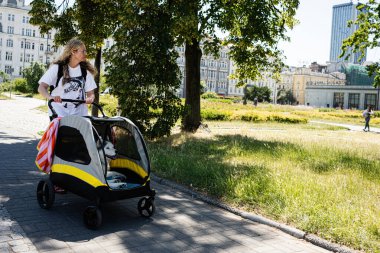 Varşova, Polonya - 02 Temmuz 2025: Bir kadın evcil köpeğini Varşova, Polonya 'daki bir parktan bebek arabasıyla geçirdi.