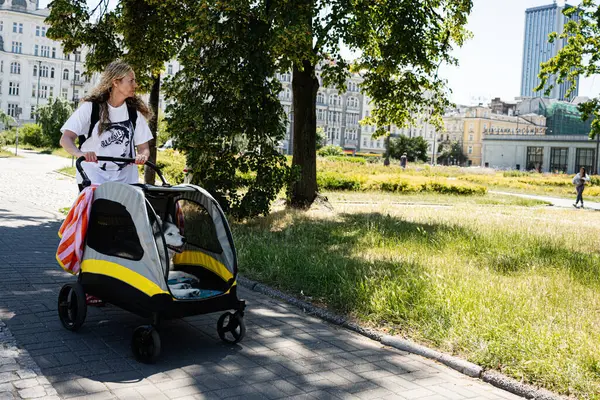 Varşova, Polonya - 02 Temmuz 2025: Bir kadın evcil köpeğini Varşova, Polonya 'daki bir parktan bebek arabasıyla geçirdi.
