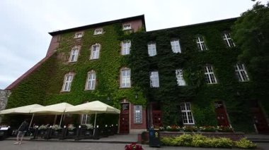 Krakow, Polonya - 08 Temmuz 2025: Polonya 'nın Krakow kentinde bir açık kafesi olan yemyeşil sarmaşıkla kaplı güzel eski bina.