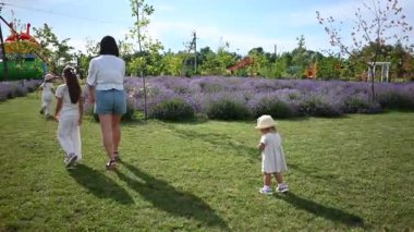 Genç anne ve iki çocuğu güzel bir lavanta tarlasında huzurlu bir gezinti yapıyorlar..