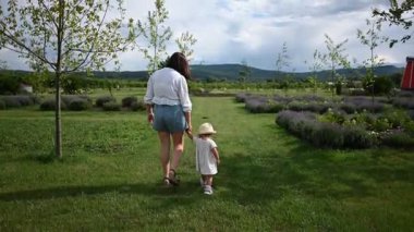 Bir anne ve küçük çocuğu, huzurlu bir lavanta tarlasında el ele dolaşırlar..