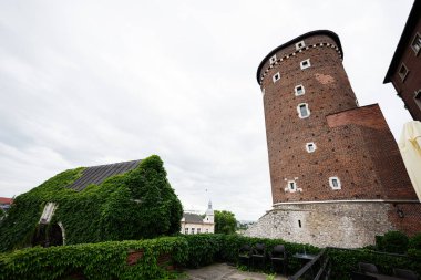 Krakow 'daki kırmızı tuğla kule ve sarmaşık kaplı bina mimari tarihi sergiliyor..