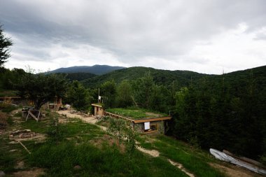 Yeşil bir orman ve bulutlu gökyüzünün altında dağlık bir zemin arasında kırsal çevre dostu bir ev..