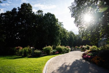 Polonya 'nın Lancut şehrinde bulunan güneş ışığıyla aydınlanmış bir bahçe yolu.