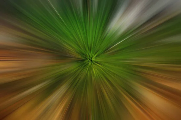 Doğanın Yeşil Patlaması Yeşil Kahverengi Işınlar Merkezden Dış Kenarlara Doğru — Stok fotoğraf