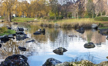 beautiful view of city public park