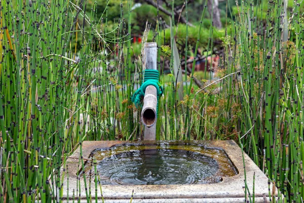 竹笋式喷泉 — 图库照片