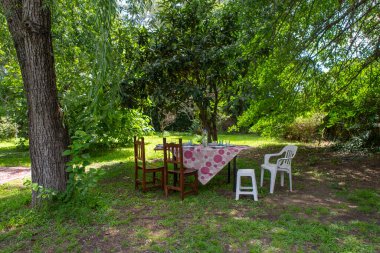 Bahçedeki gölgelik ağaç ve yemek için hazır bir masa..