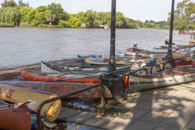Kanolar nehrin kıyısına yığıldı.