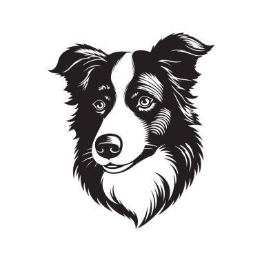 border collie dog, vektör konsepti dijital sanat, el çizimi illüstrasyon