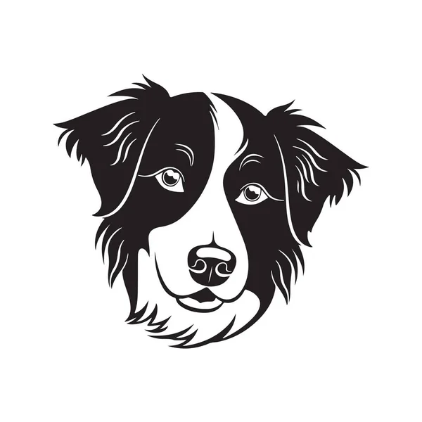 Border Collie Dog Vector Concept Digital Art Hand Draw Illustration — 스톡 벡터