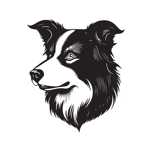 Border Collie Dog Vector Concept Digital Art Hand Draw Illustration — 스톡 벡터