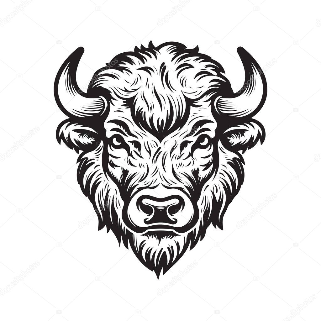 Bison head, vector concept digital art, hand drawn illustration