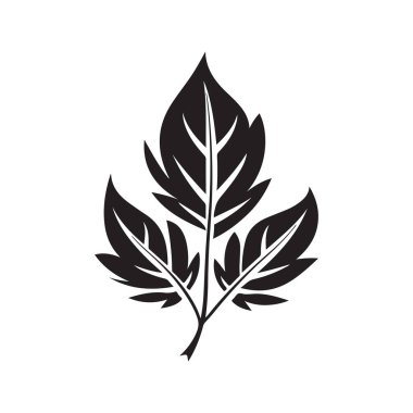 Yaprak, klasik logo konsepti siyah beyaz renk, el çizimi illüstrasyon