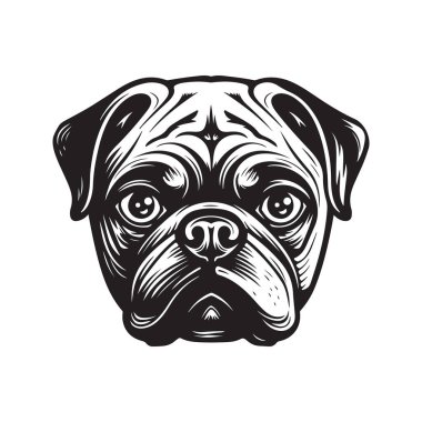 pug, vintage logo konsepti siyah beyaz renk, el çizimi illüstrasyon