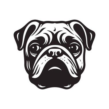 pug, vintage logo konsepti siyah beyaz renk, el çizimi illüstrasyon