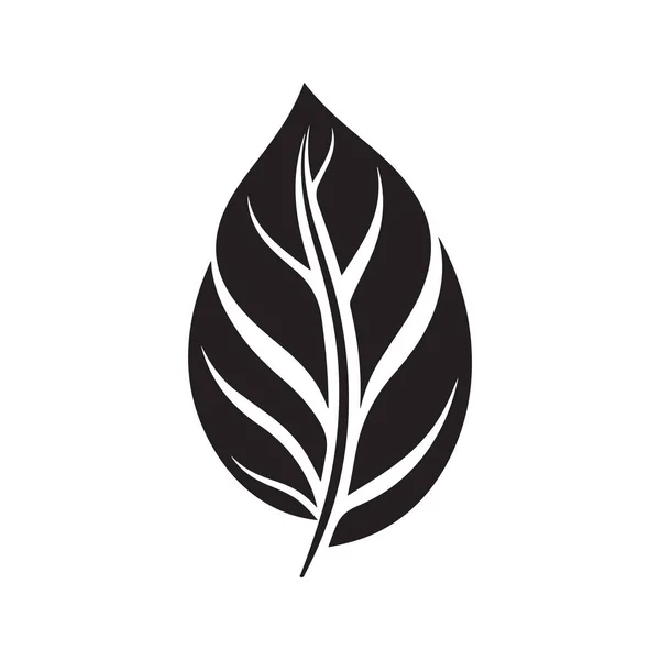 Yaprak Klasik Logo Konsepti Siyah Beyaz Renk Çizimi Illüstrasyon — Stok Vektör