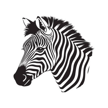 Zebra, klasik logo çizgisi sanat konsepti siyah-beyaz renk, el çizimi illüstrasyon