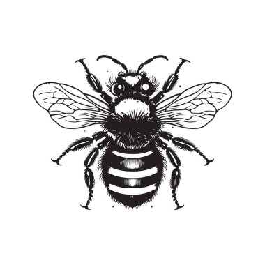 yaban arısı, klasik logo çizgisi sanat konsepti siyah beyaz renk, el çizimi illüstrasyon