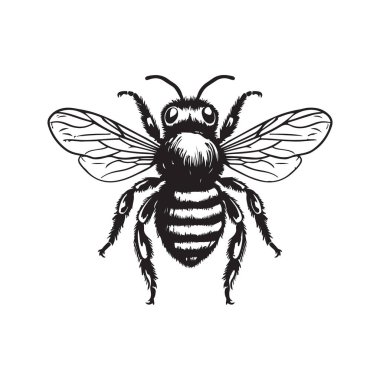 yaban arısı, klasik logo çizgisi sanat konsepti siyah beyaz renk, el çizimi illüstrasyon